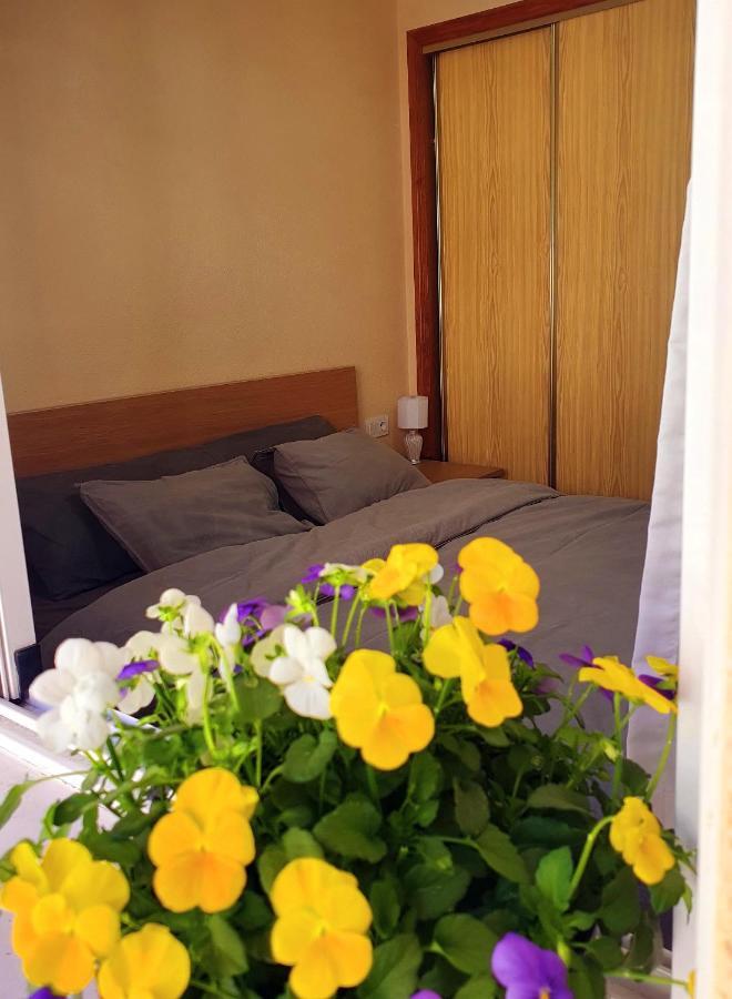 Isamar Apartamento Playa Del Cura Torrevieja Exterior foto